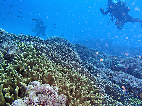 水納島・瀬底島方面（ボート）